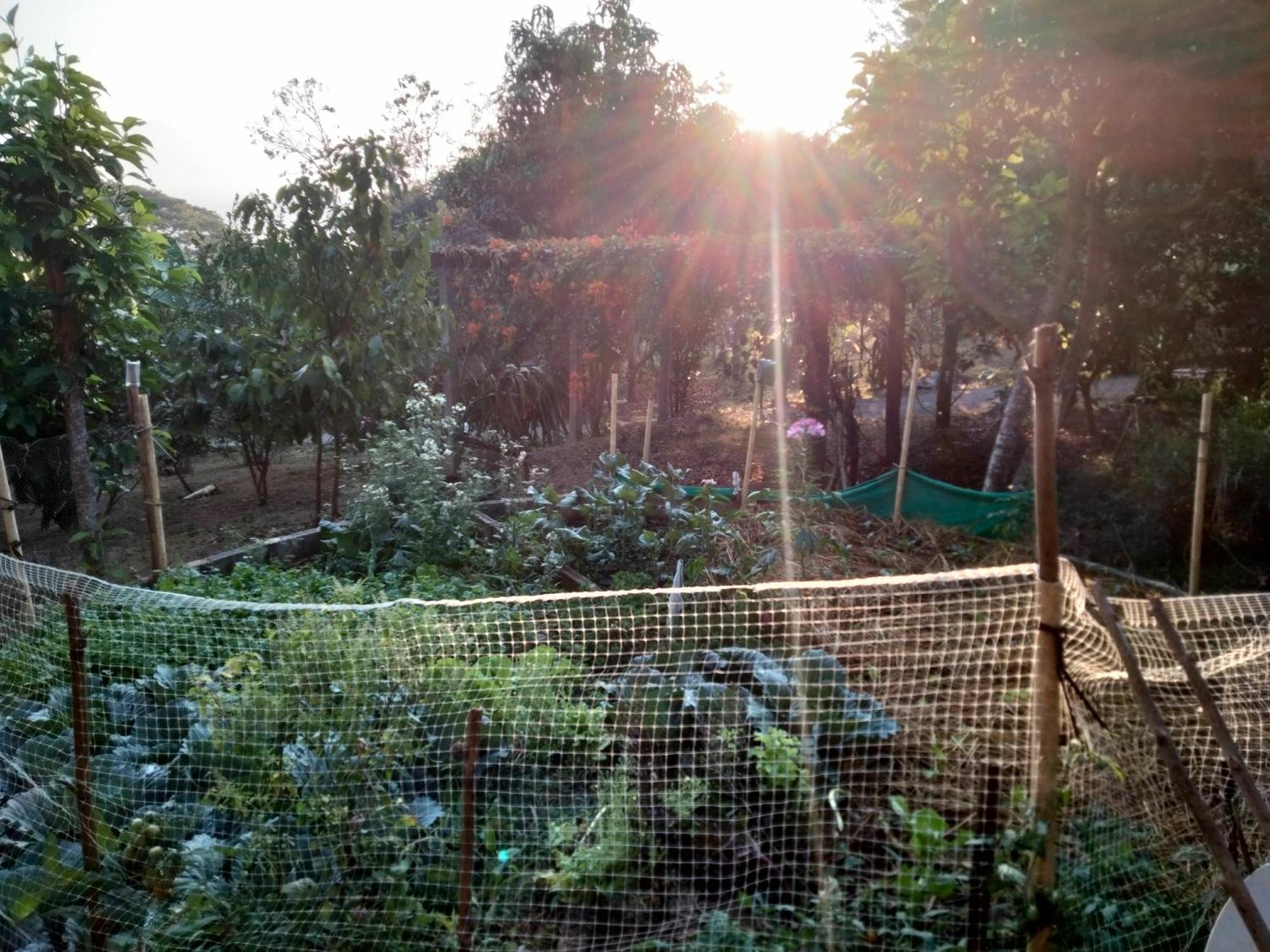 Ban Suan Nai Fun Homestay Pua Εξωτερικό φωτογραφία